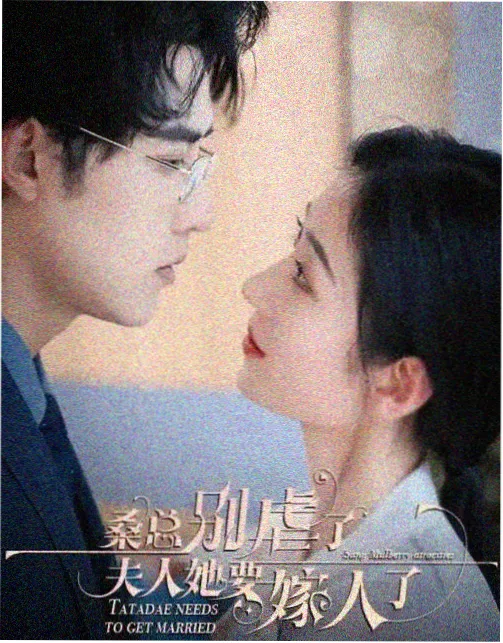 算法之外 免费全本小说封面